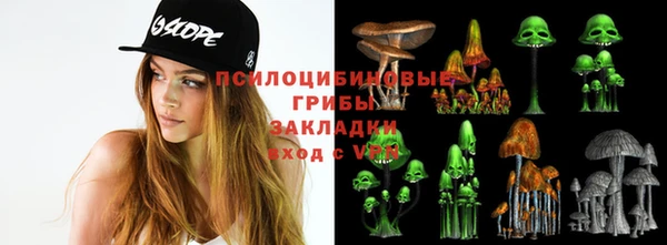 круглые Алзамай