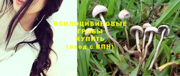 марки nbome Алексеевка
