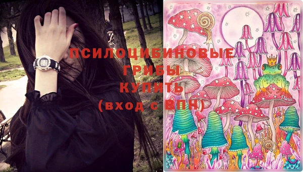меф Алексин