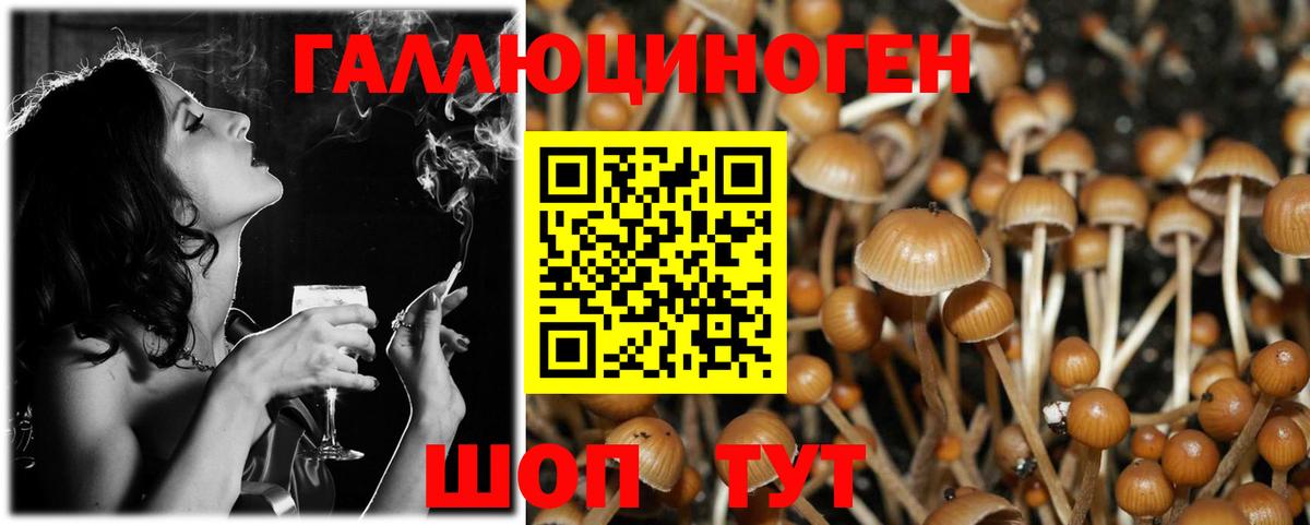 Псилоцибиновые грибы GOLDEN TEACHER  Псилоцибиновые грибы GOLDEN TEACHER  Череповец  Вход с VPN 
